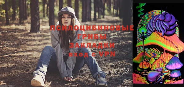 дурь Рославль