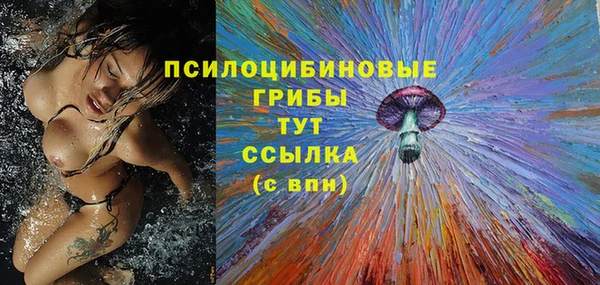 гидра Абинск