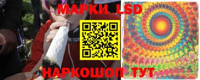 спайс Кинель