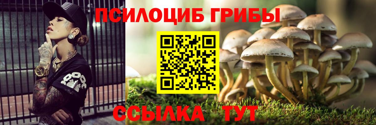 Псилоцибиновые грибы Psilocybine cubensis  где можно купить наркотик  Красный Сулин  Вход с VPN 
